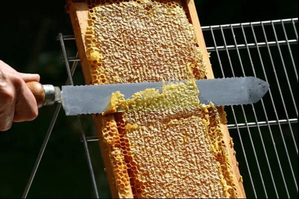 desoperculado miel