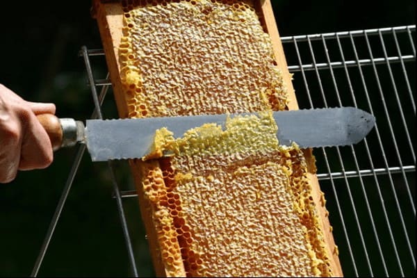 Extracción de la miel
